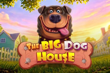 The Big Dog House The Big Dog House
