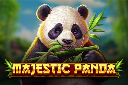 Majestic Panda Majestic Panda